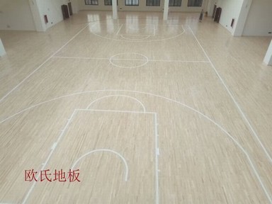 呼和浩特體育木地板批發代理