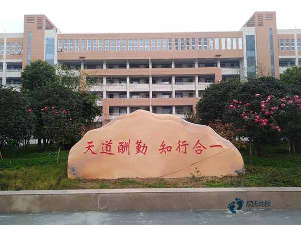 哪有籃球運(yùn)動(dòng)木地板行業(yè)品牌