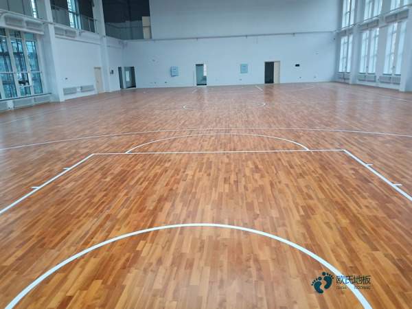 楓木籃球場館地板清潔保養