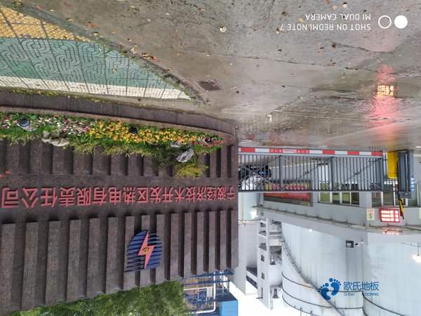 哪里有籃球木地板價格行情